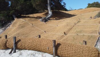 Bio rulli in cocco, protezione dunale